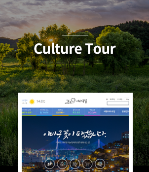 Culture Tour